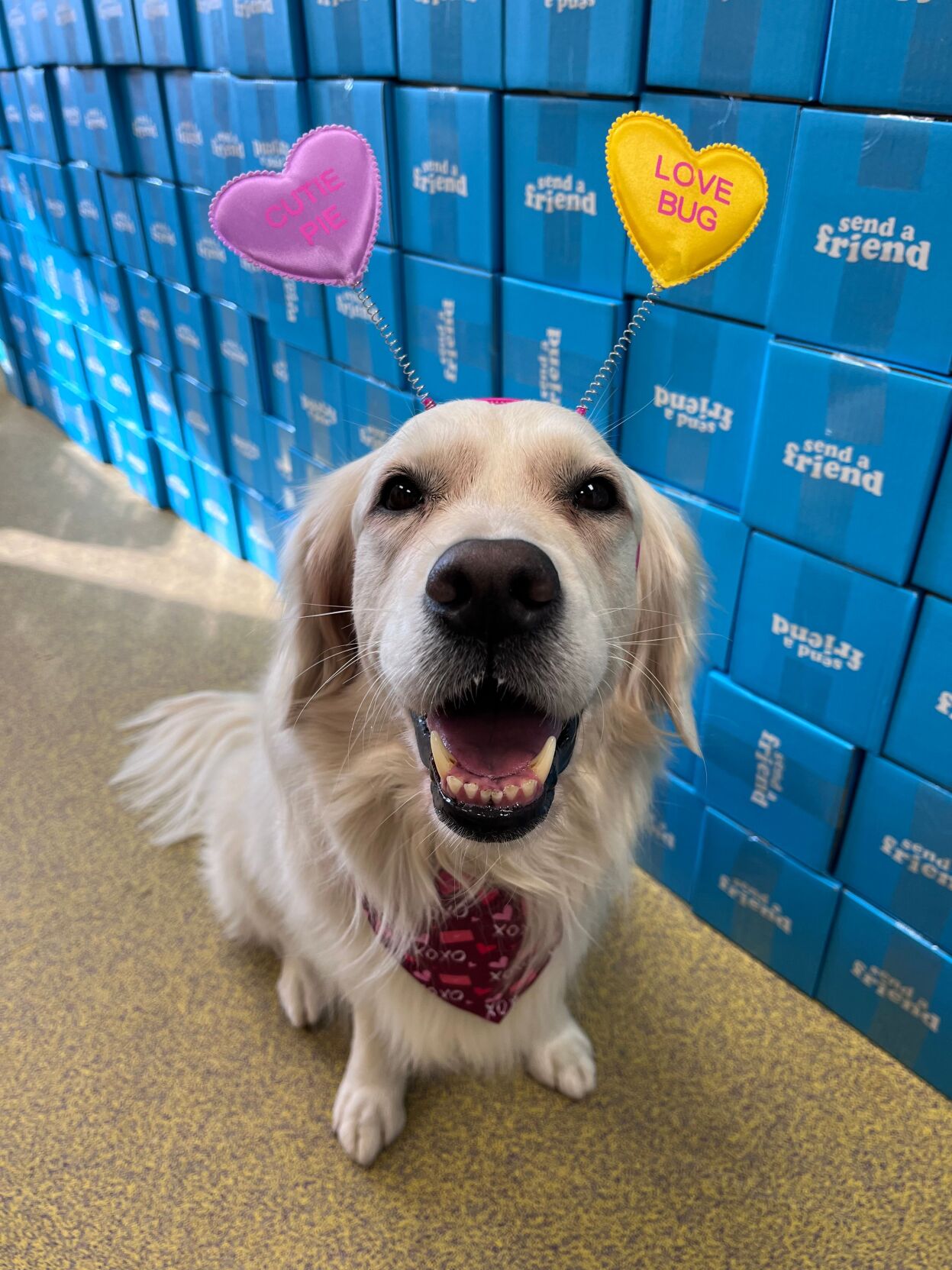 Children receive stuffed animals for Valentine's Day at Norton Healthcare.jpeg