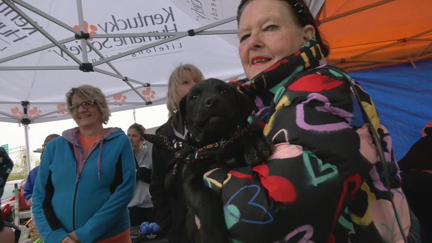 BARK AND BRUNCH AT THE WATERFRONT