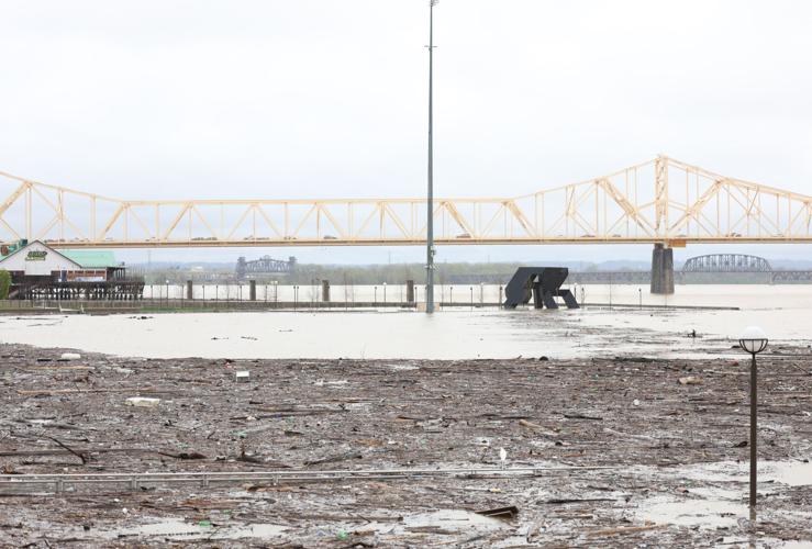Flooding at the Great Lawn - April 6.JPG