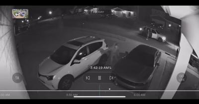 Shelbyville theft from vehicles