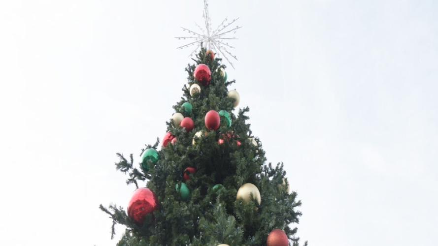 Shelbyville Plaza Christmas trees 11-18-24