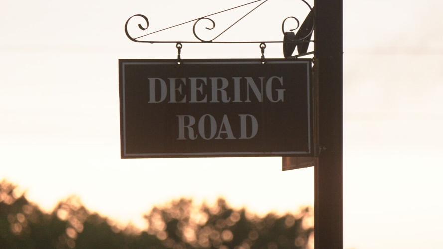 HIT AND RUN FAMILY (1).jpeg