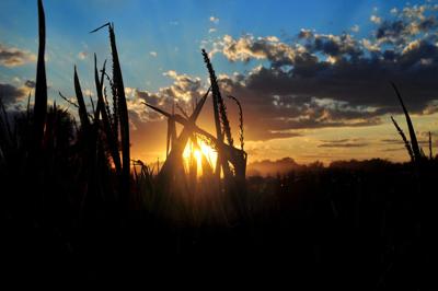 GET THE DIRT: NASA Data Powers New USDA Soil Moisture Portal...