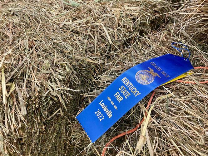 Blue ribbon hay.jpg