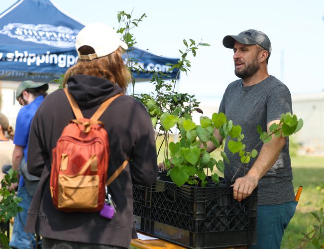Free tree saplings at Louisville Grows event.JPG