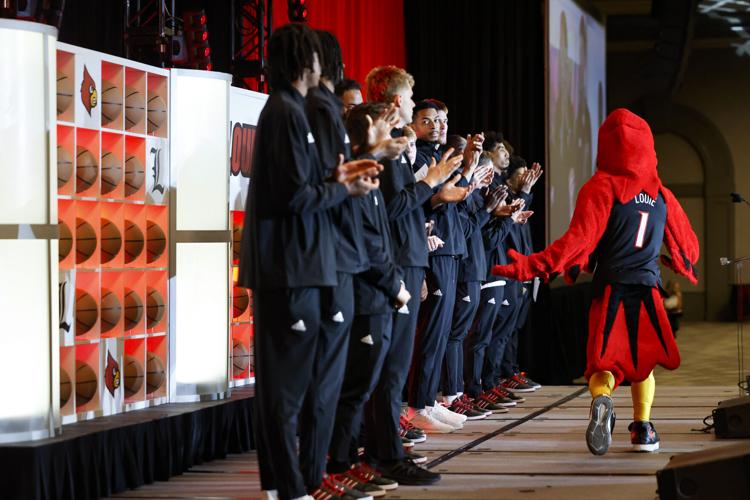 Louisville basketball