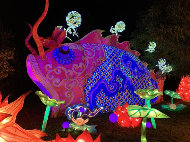 ASIAN LANTERN FESTIVAL - LOUISVILLE ZOO - KEITH KAISER - 7-15-2020  (2).JPG