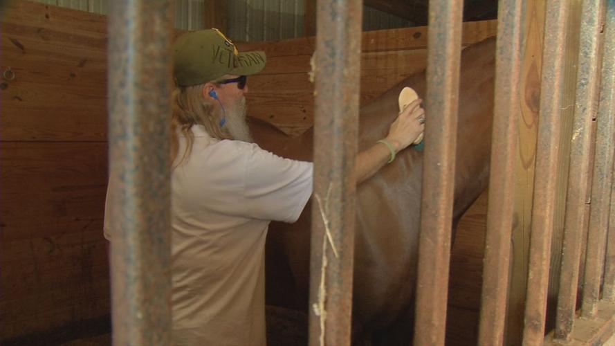 VETERAN EQUINE THERAPY 10VO.transfer_frame_1182.jpg