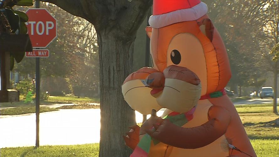 St. Matthews squirrel crossing.jpeg