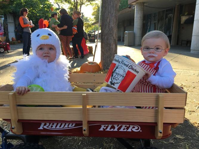 Boo at the Zoo 2017.jpg