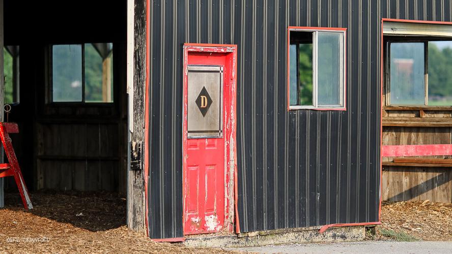 Skylight Stables2.jpg