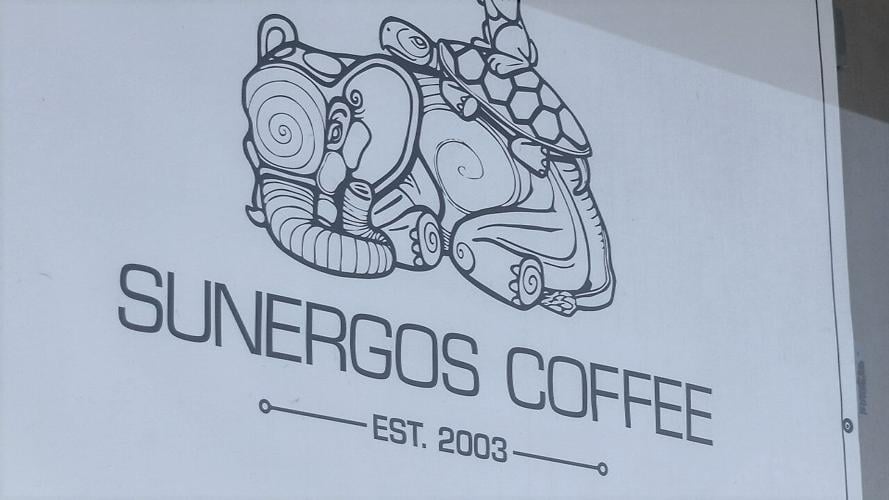 Sunergos logo in window