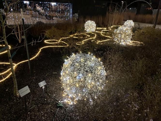 Gardens Aglimmer (2).JPG