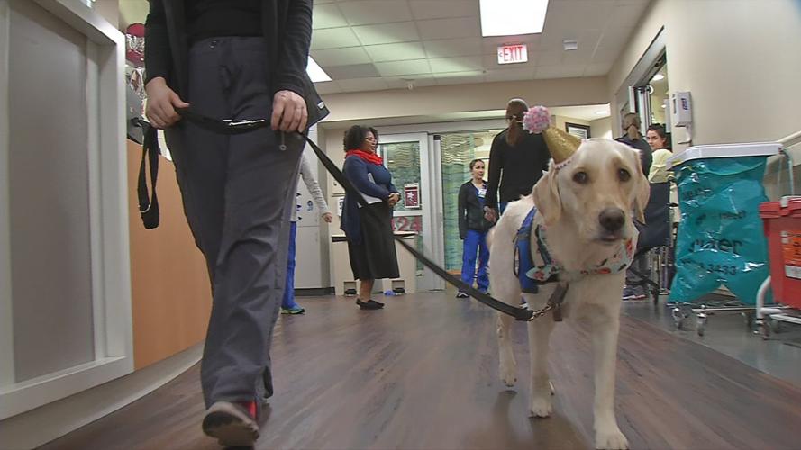 NORTON SERVICE DOG 6P PKG.transfer_frame_5759 walk Yarie.jpg