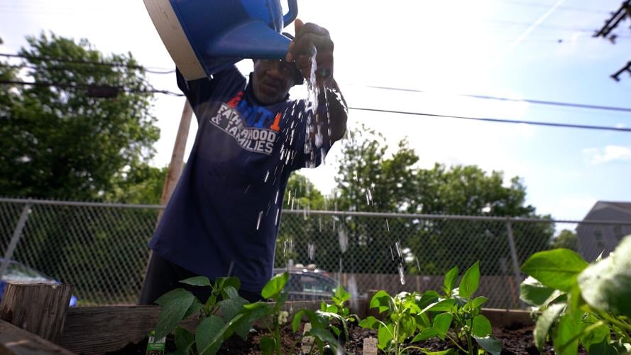 California Community Center Garden 5-25-2022 (4).jpg