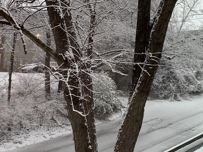 Snow in Clifton Heights 1-27-21