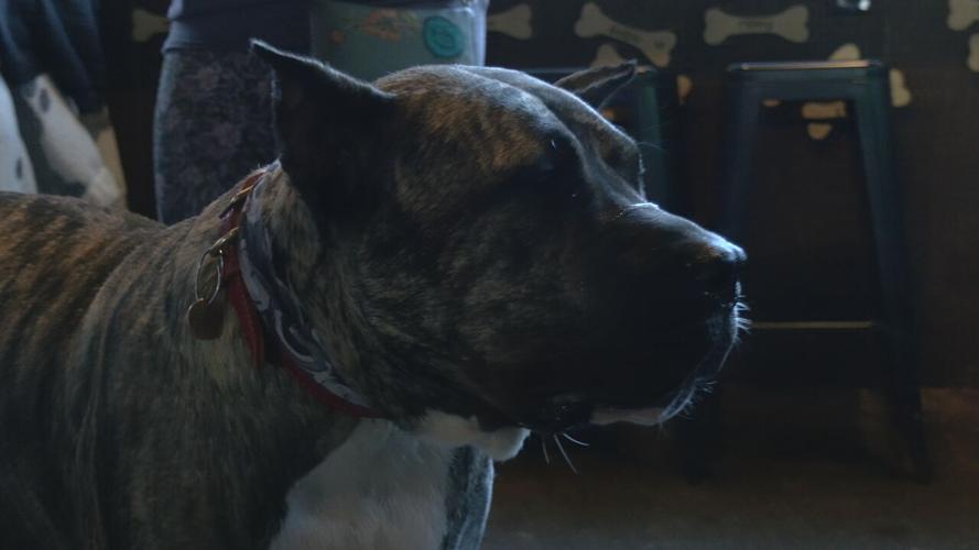 ETHAN'S GOT YA DAY.jpeg