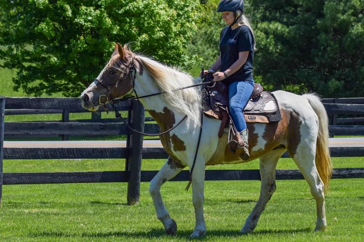 Horse and rider