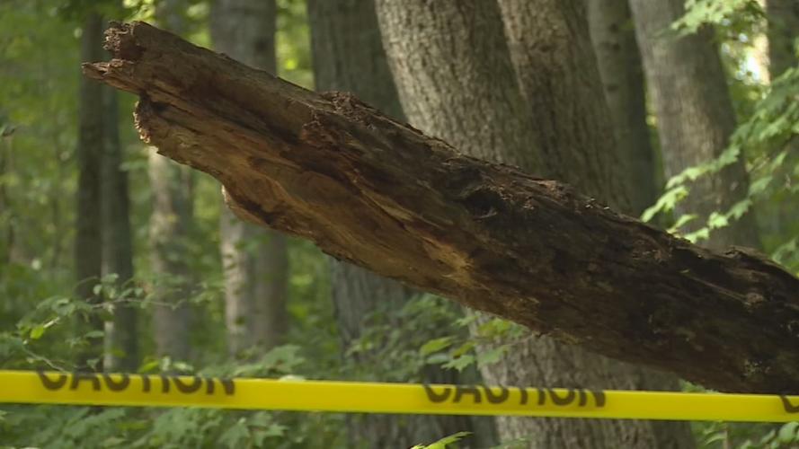 KY TREE FALLS ON TENT, 2 HURT 4VO.transfer_frame_0.jpg