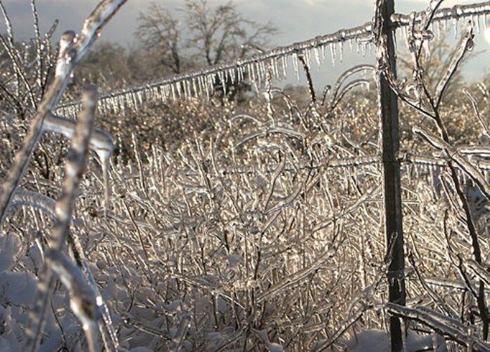 Crawford County, Wade Bell