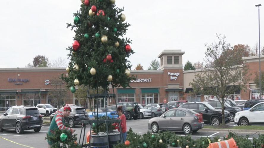 Shelbyville Plaza Christmas trees 11-18-24