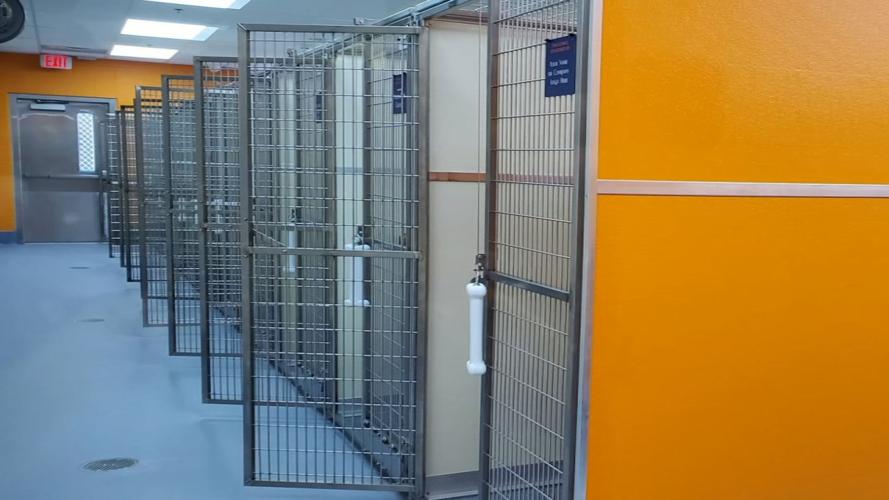 LMAS New shelter update 1.jpg