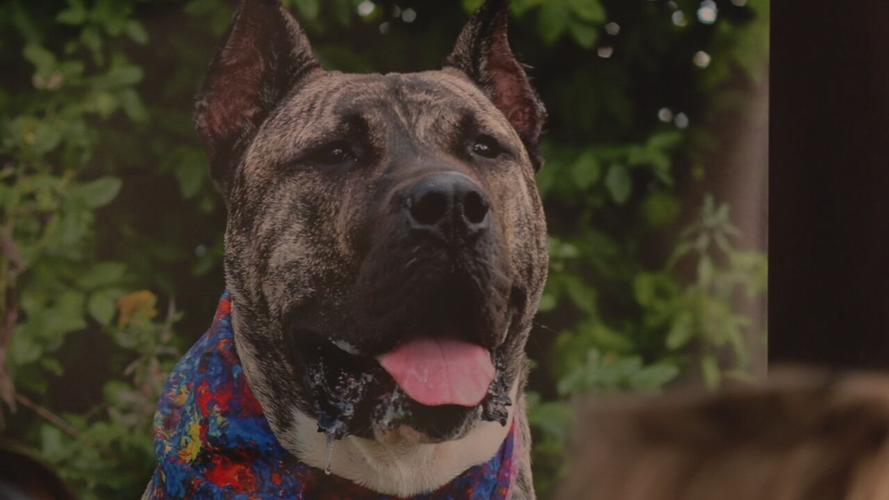 ETHAN'S GOT YA DAY.jpeg