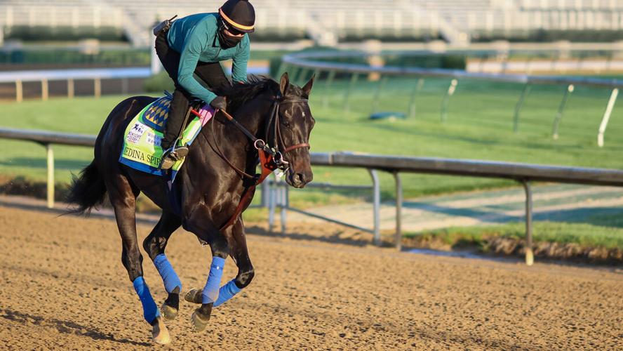 Medina Spirit-2-2.jpg