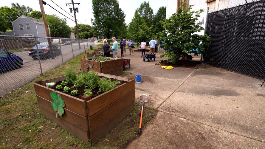 California Community Center Garden 5-25-2022 (5).jpg