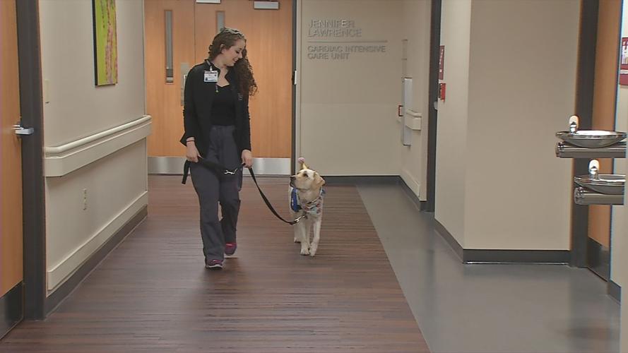 NORTON SERVICE DOG 6P PKG.transfer_frame_2137 walking the dog.jpg