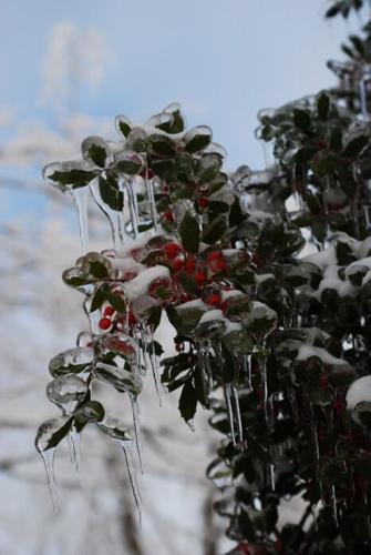 Radcliff, KY, Anita Conder