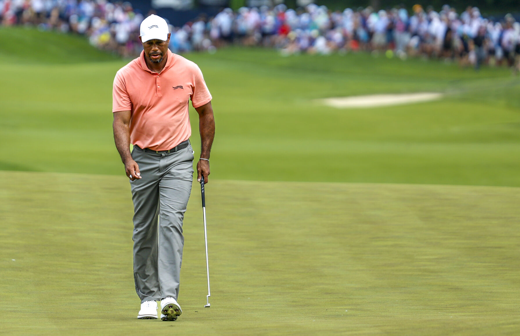 Tiger Woods