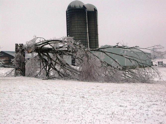 Ken Smith, Windyville, KY