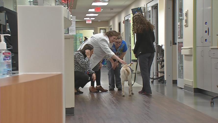 NORTON SERVICE DOG 6P PKG.transfer_frame_1533 on rounds.jpg