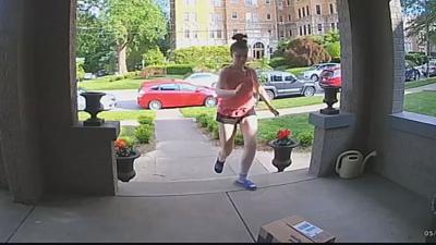 Generic Porch Pirate