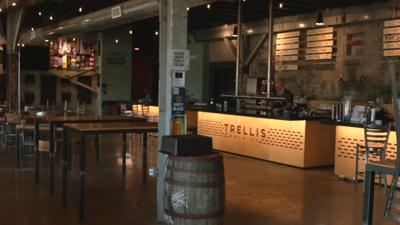 Trellis Brewing