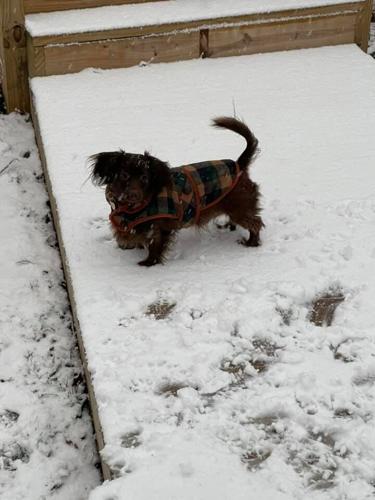 Snow near Iroquois-Louisville-1-27-21.jpg