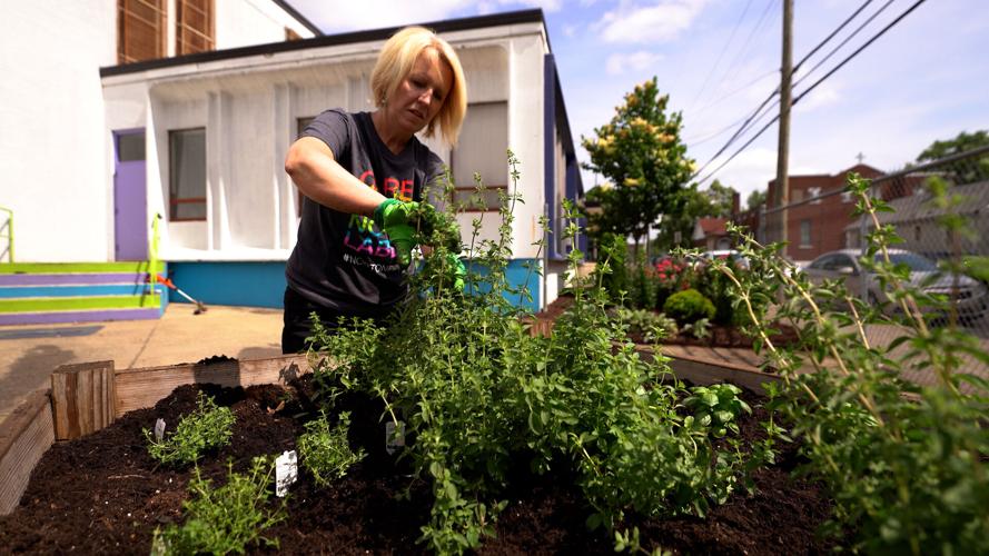 California Community Center Garden 5-25-2022 (6).jpg