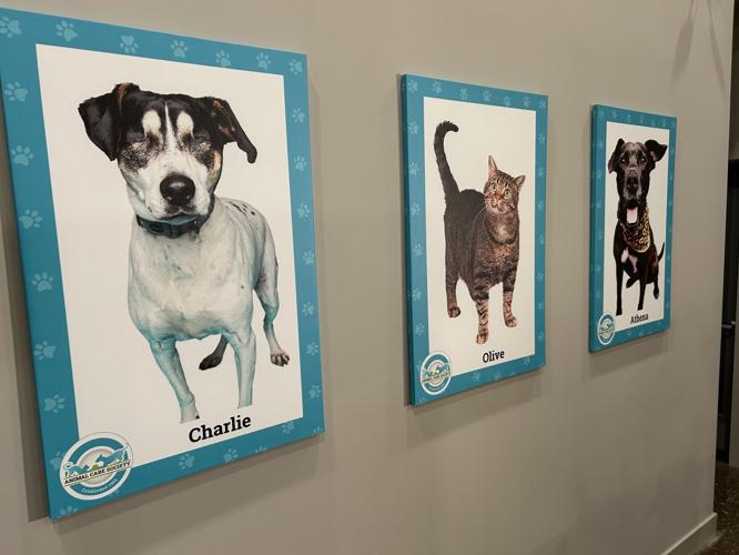 Animal Care Society