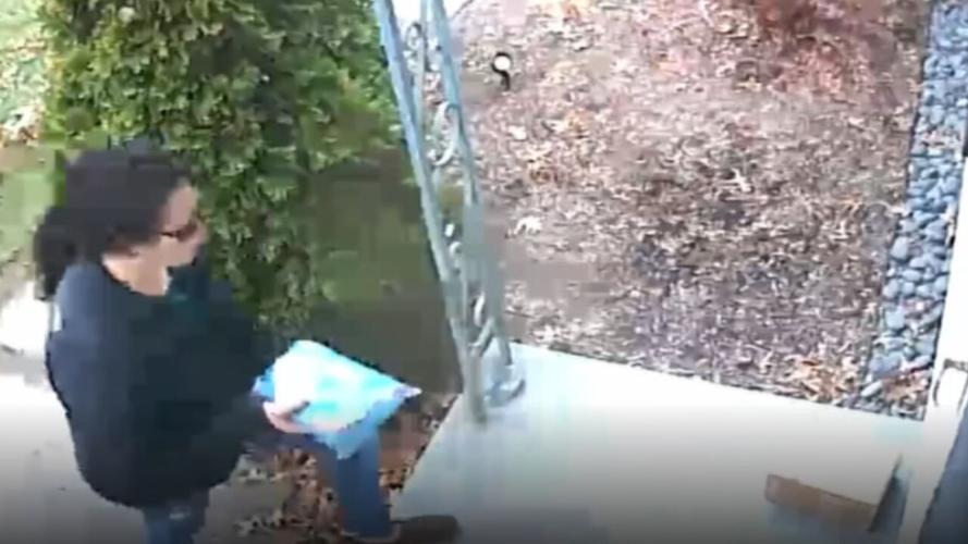 Generic Porch Pirate