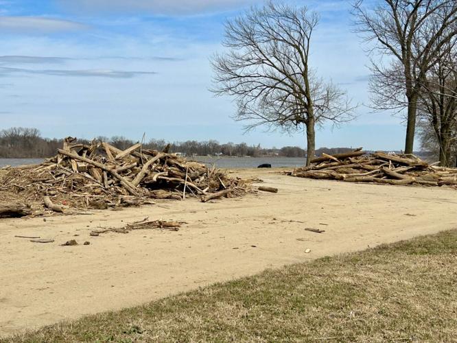 Cox Park drift wood - March 4, 2025.jpg