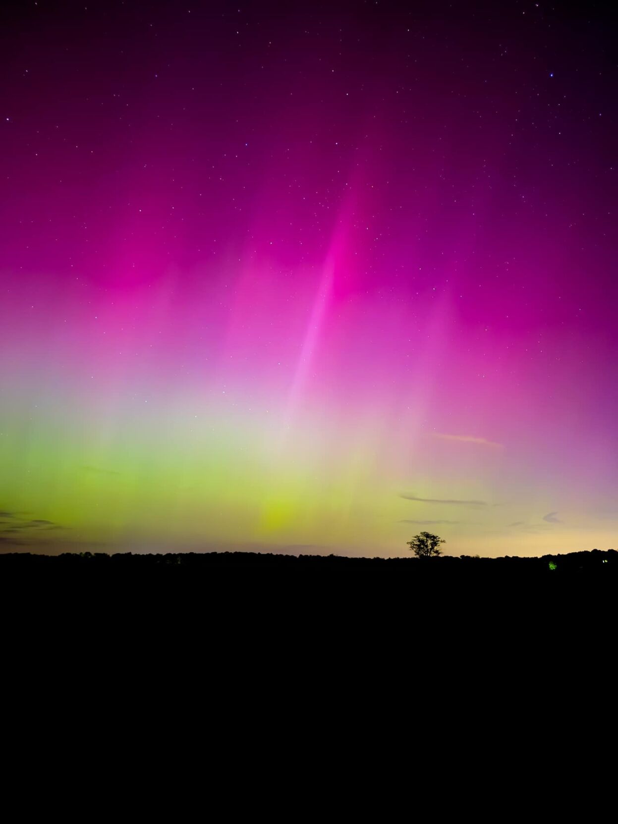 Marc Weinberg Northern Lights 3.jpg