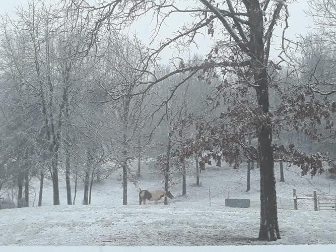 Snow in Brandenburg-KY-1-27-21.jpg