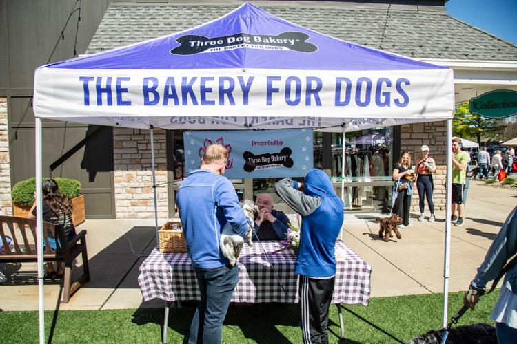Three Dog Bakery at Puppy Palooza in Westport Village