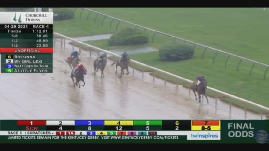 Breonna Taylor Horse 4-29-21 (1).jpeg