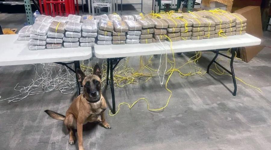 Nearly 300 pounds of cocaine seized by the Indianapolis Metropolitan Police Department