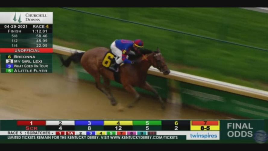 Breonna Taylor Horse 4-29-21.jpeg