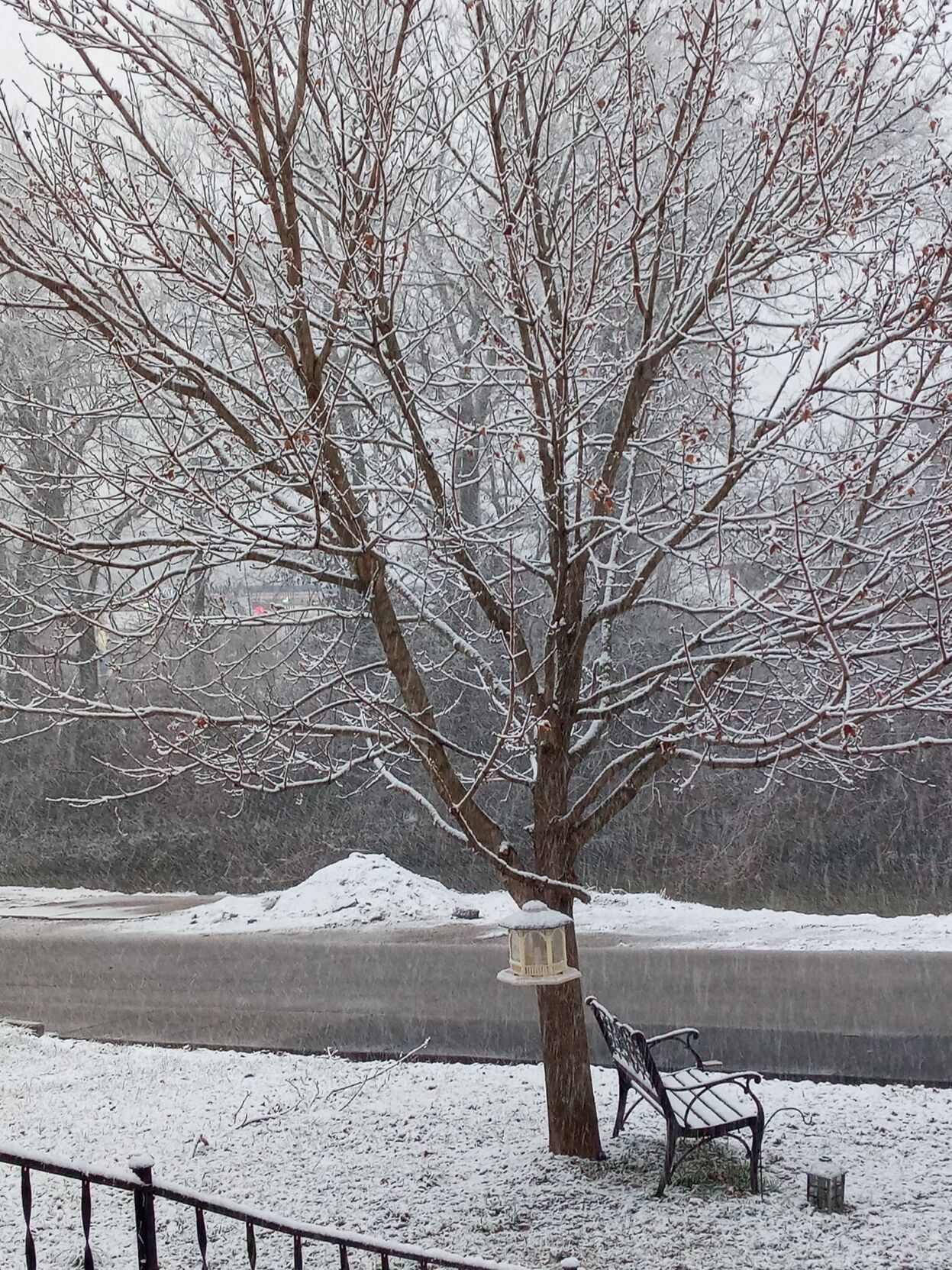 Snow in Bloomfield-KY-1-27-21 (2).jpg