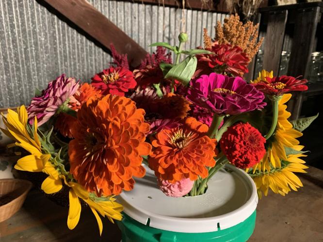 A U-Pick Flower Farm in Southern Indiana puts you in control of the bouquet