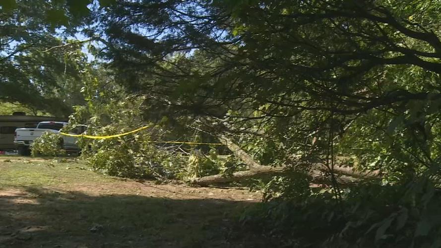 KY TREE FALLS ON TENT, 2 HURT 4VO.transfer_frame_269.jpg